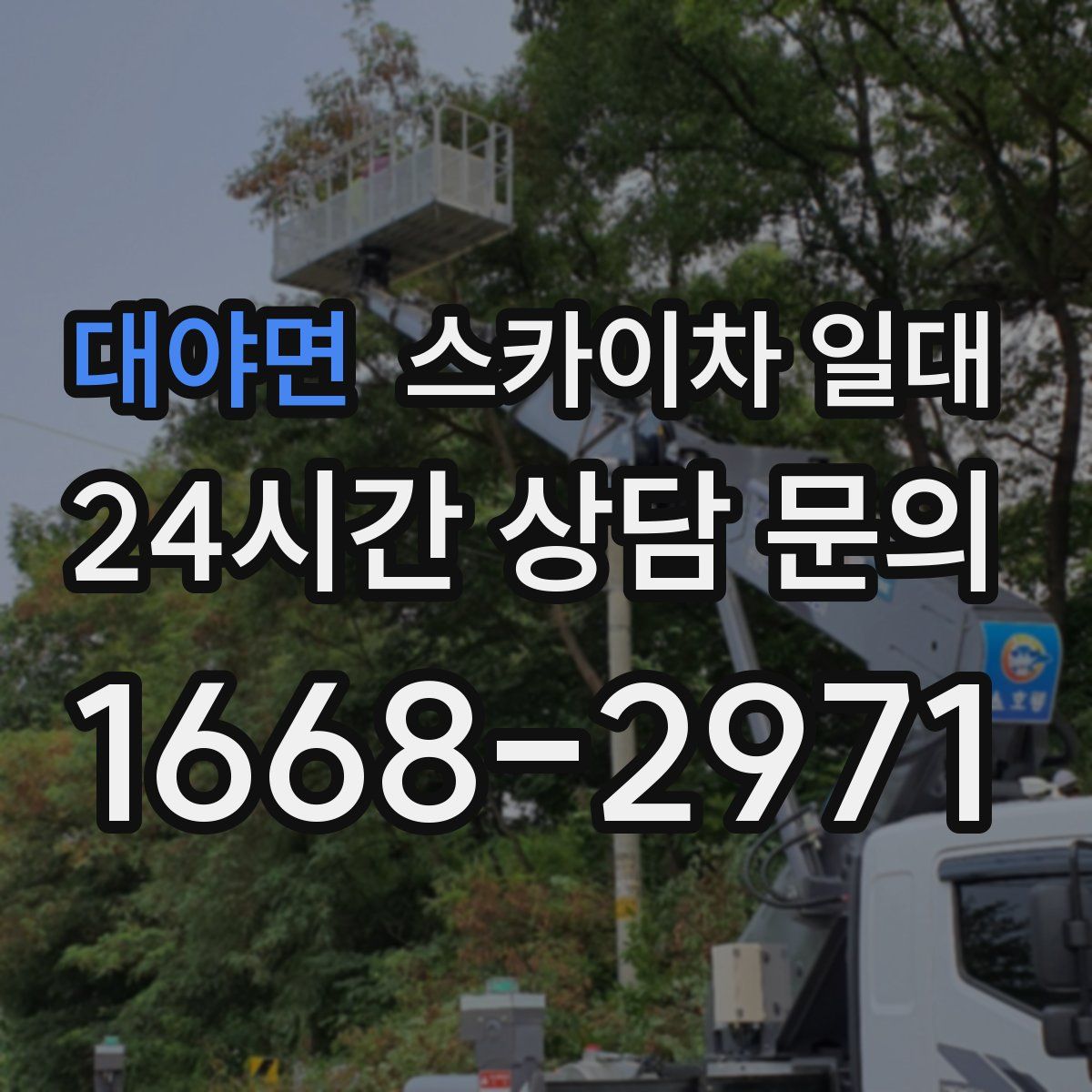 대야면 스카이차 일대
