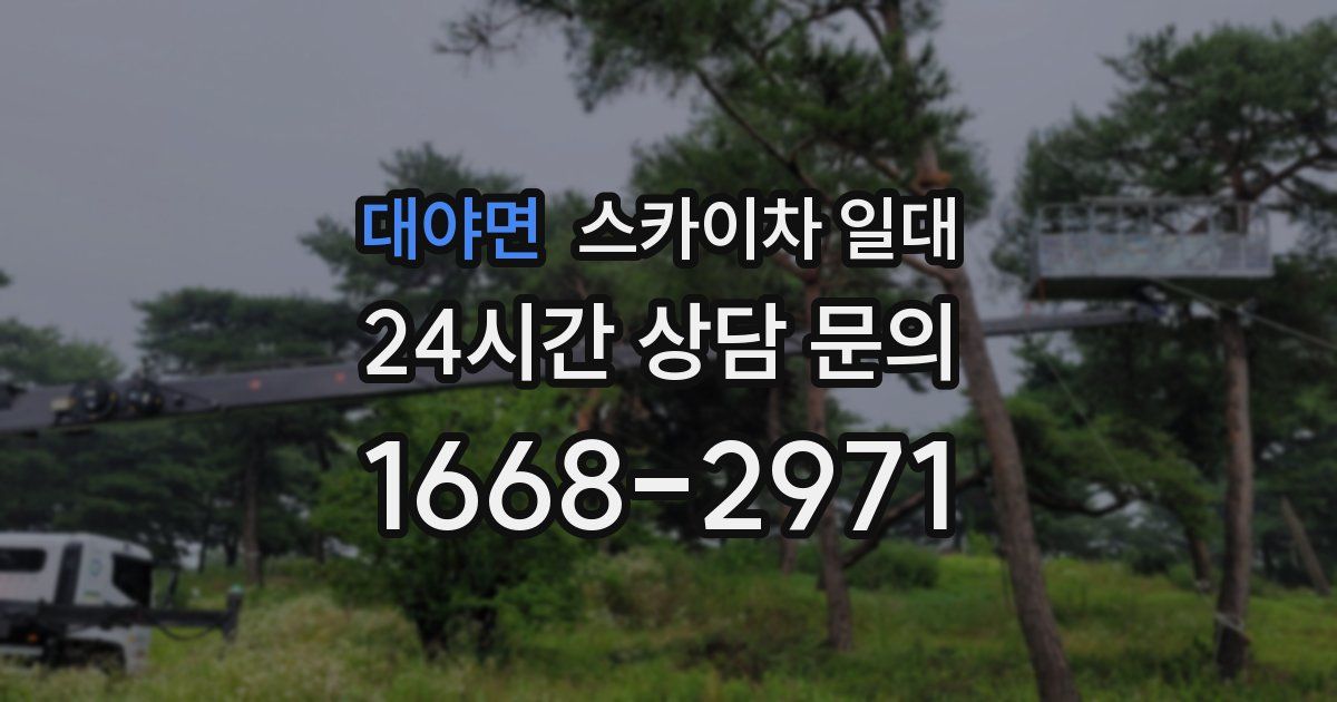 대야면 스카이차 일대