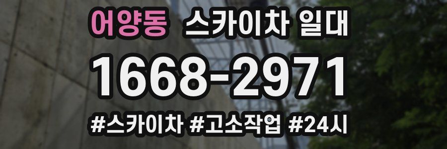 어양동 스카이차 일대