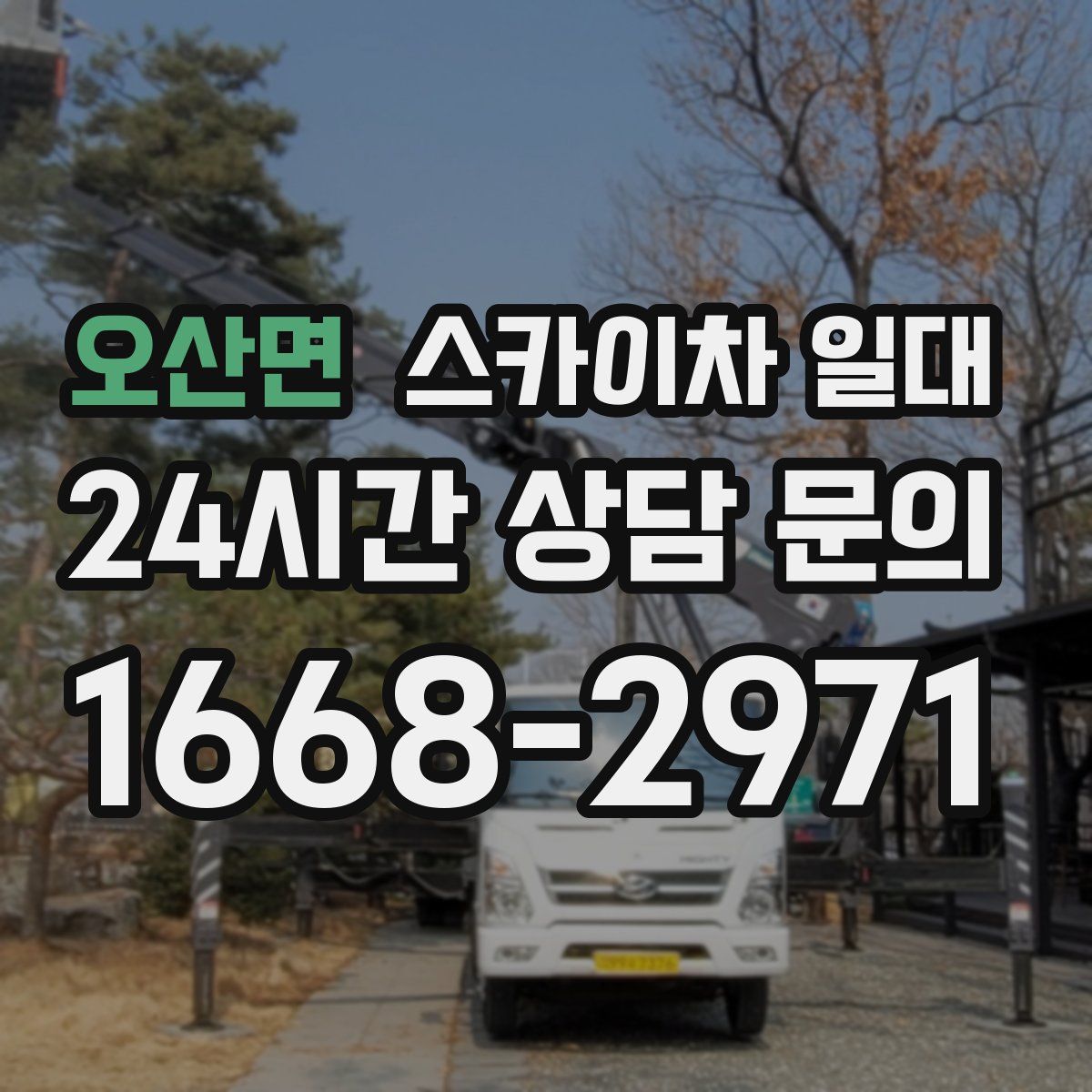 오산면 스카이차 일대
