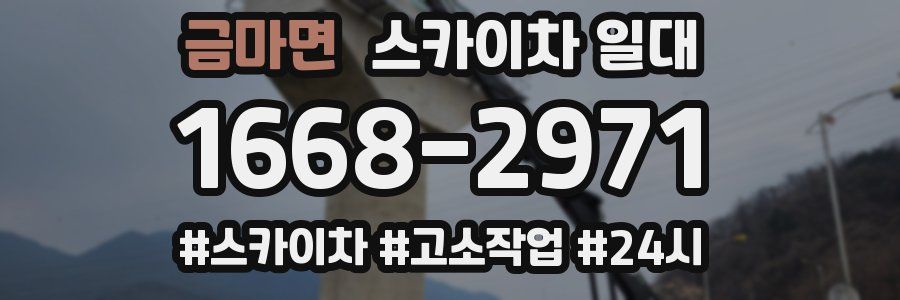 금마면 스카이차 일대