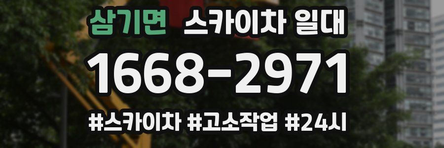 삼기면 스카이차 일대