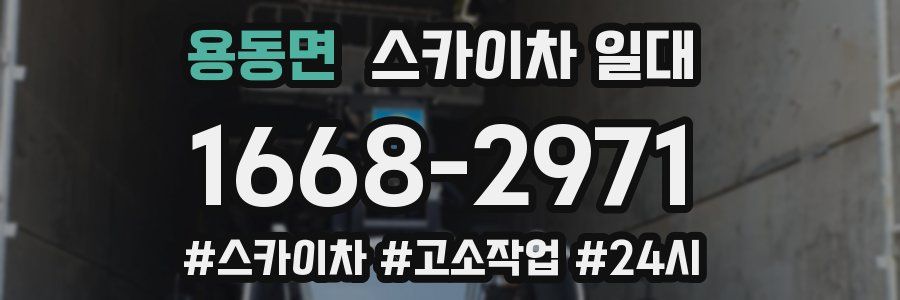 용동면 스카이차 일대
