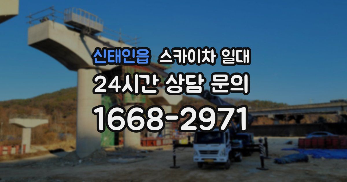 신태인읍 스카이차 일대