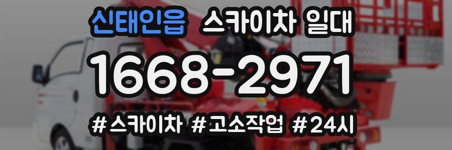 신태인읍 스카이차 일대