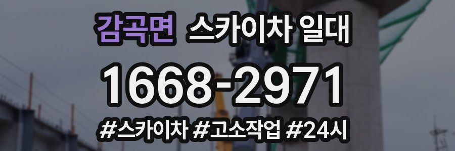 감곡면 스카이차 일대