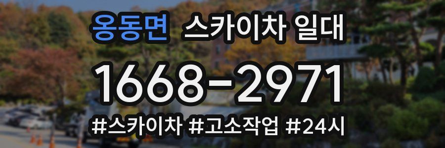 옹동면 스카이차 일대