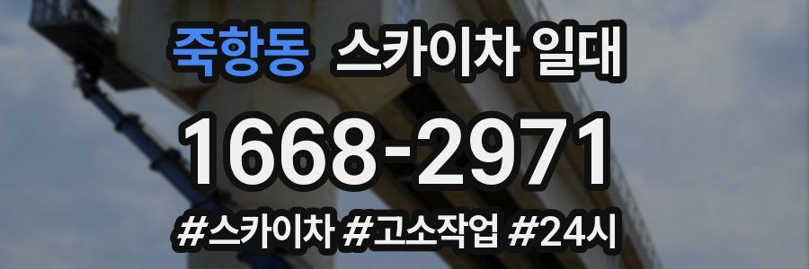 죽항동 스카이차 일대