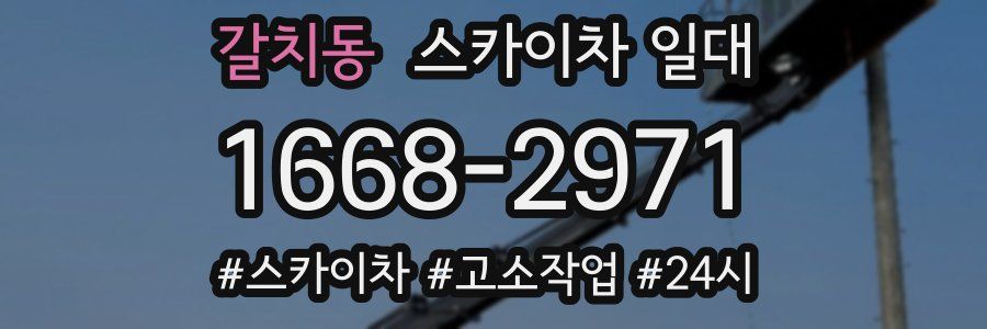 갈치동 스카이차 일대