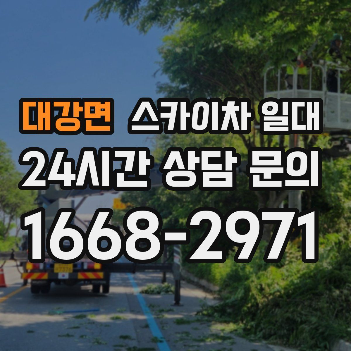 대강면 스카이차 일대