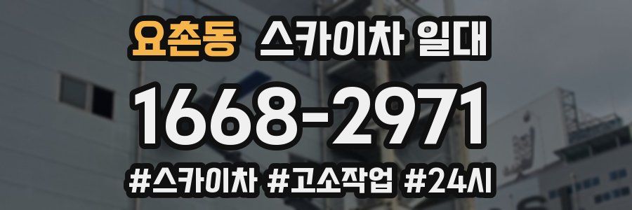 요촌동 스카이차 일대
