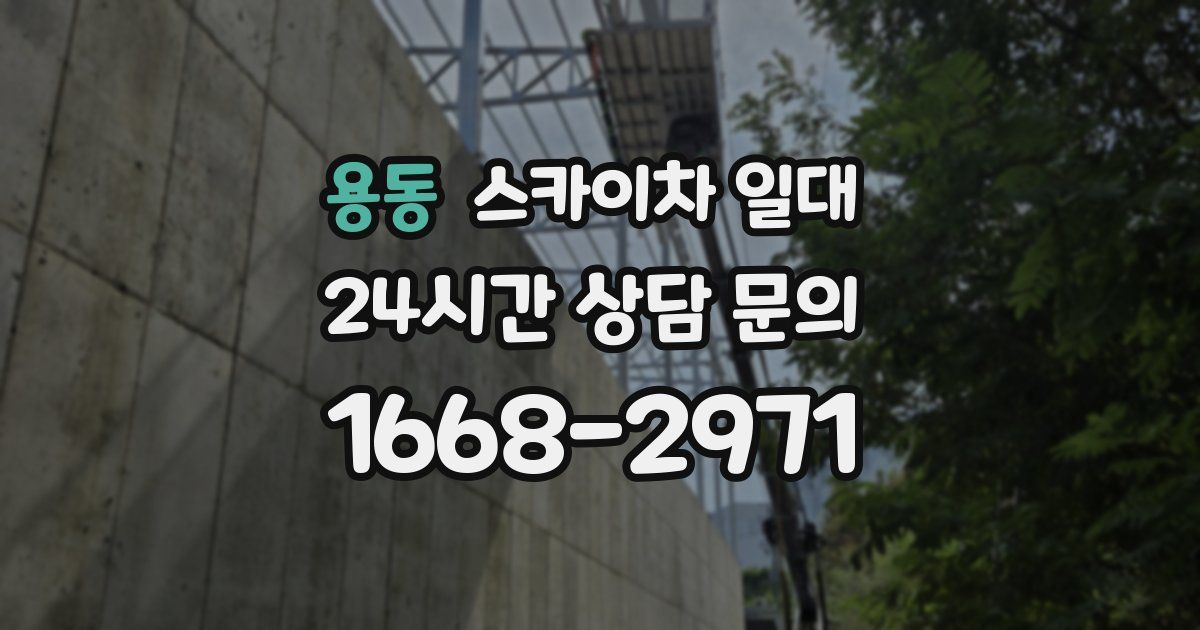 용동 스카이차 일대