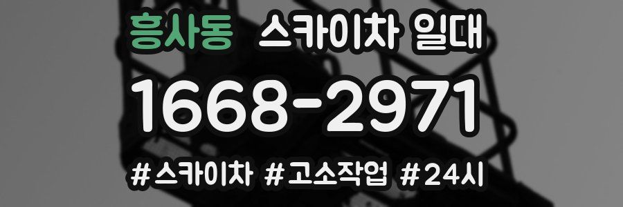 흥사동 스카이차 일대