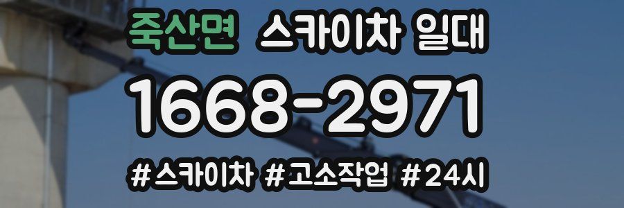죽산면 스카이차 일대