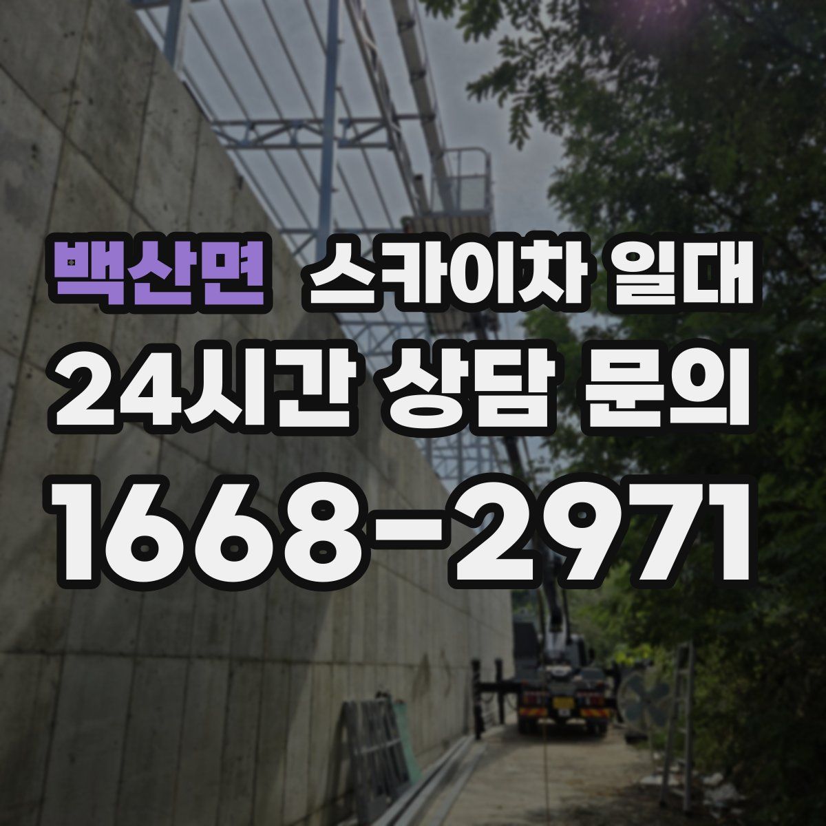 백산면 스카이차 일대
