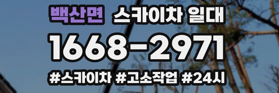 백산면 스카이차 일대