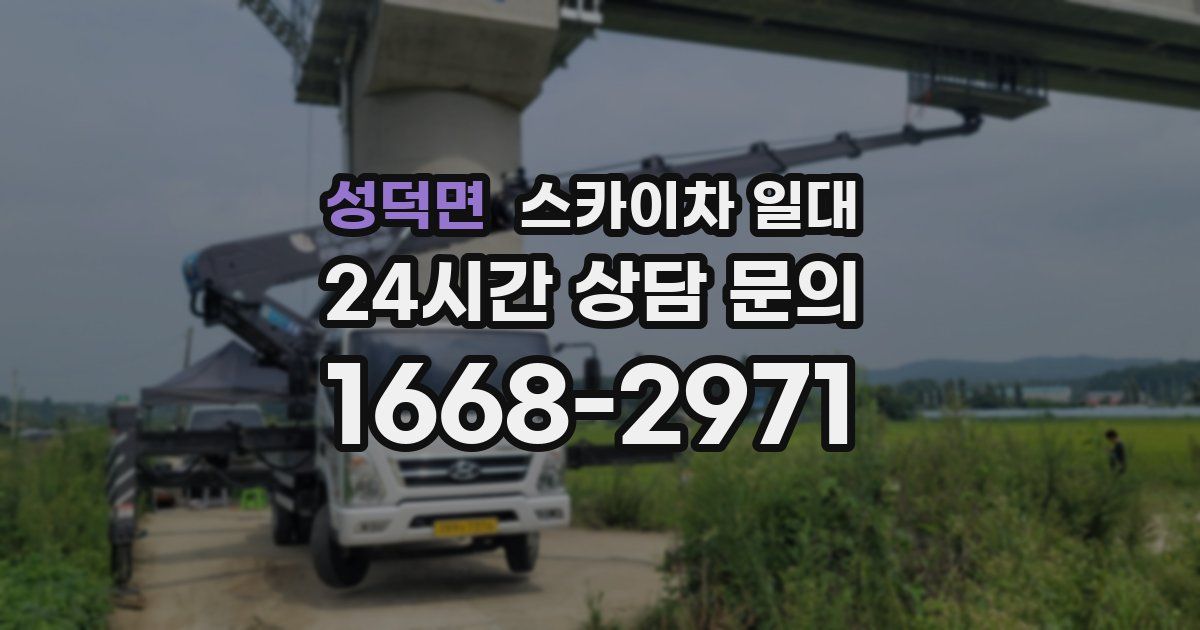 성덕면 스카이차 일대