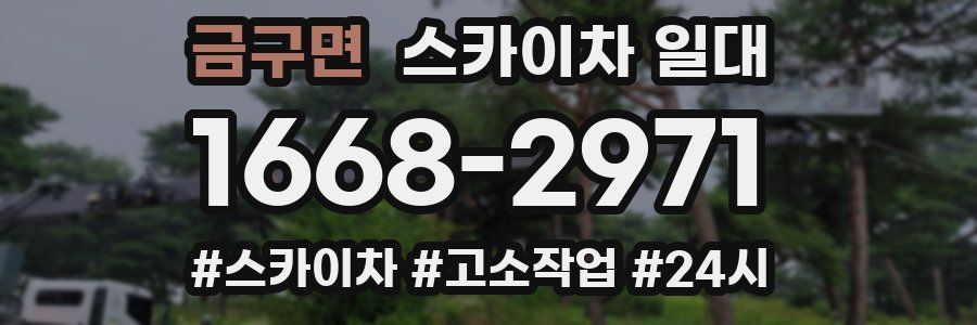 금구면 스카이차 일대