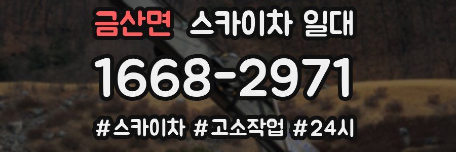 금산면 스카이차 일대
