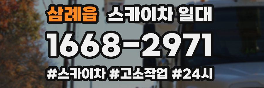 삼례읍 스카이차 일대