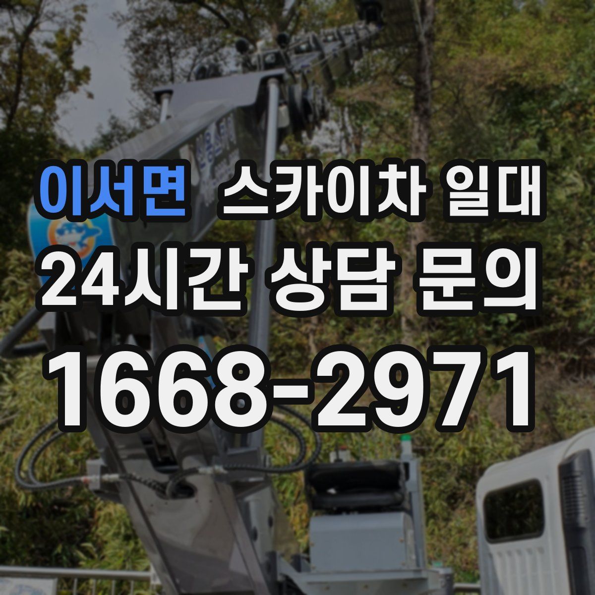 이서면 스카이차 일대