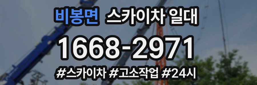 비봉면 스카이차 일대