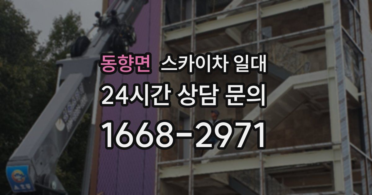 동향면 스카이차 일대