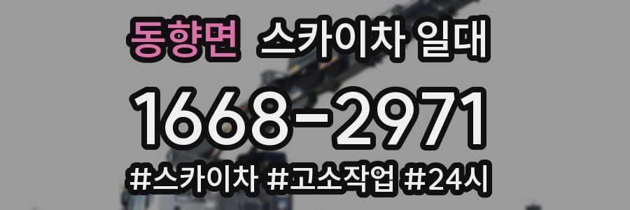동향면 스카이차 일대