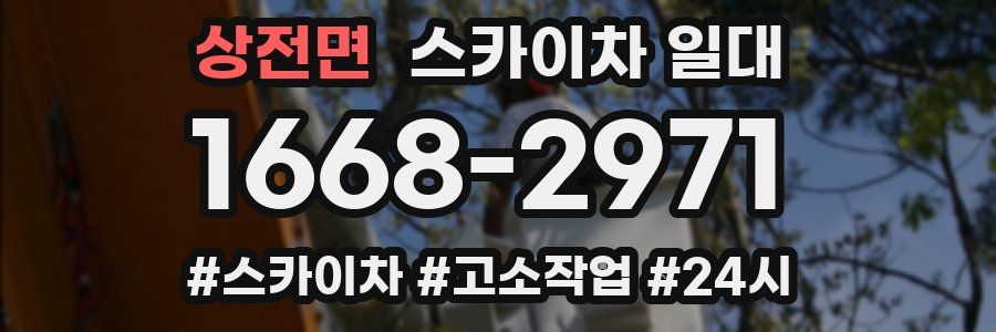 상전면 스카이차 일대
