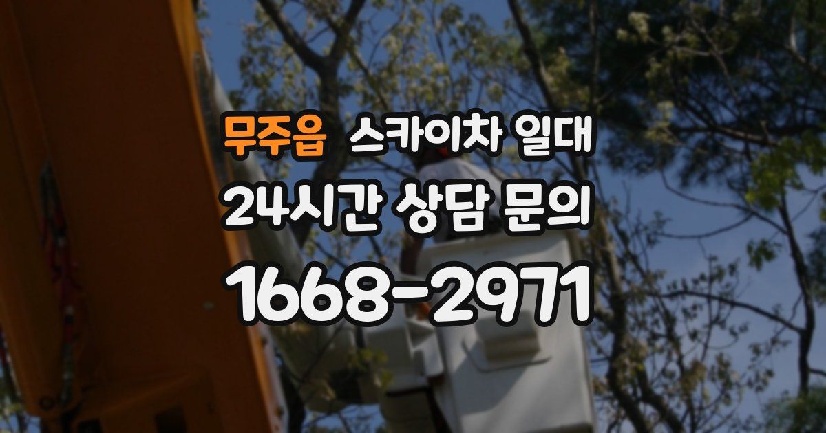 무주읍 스카이차 일대
