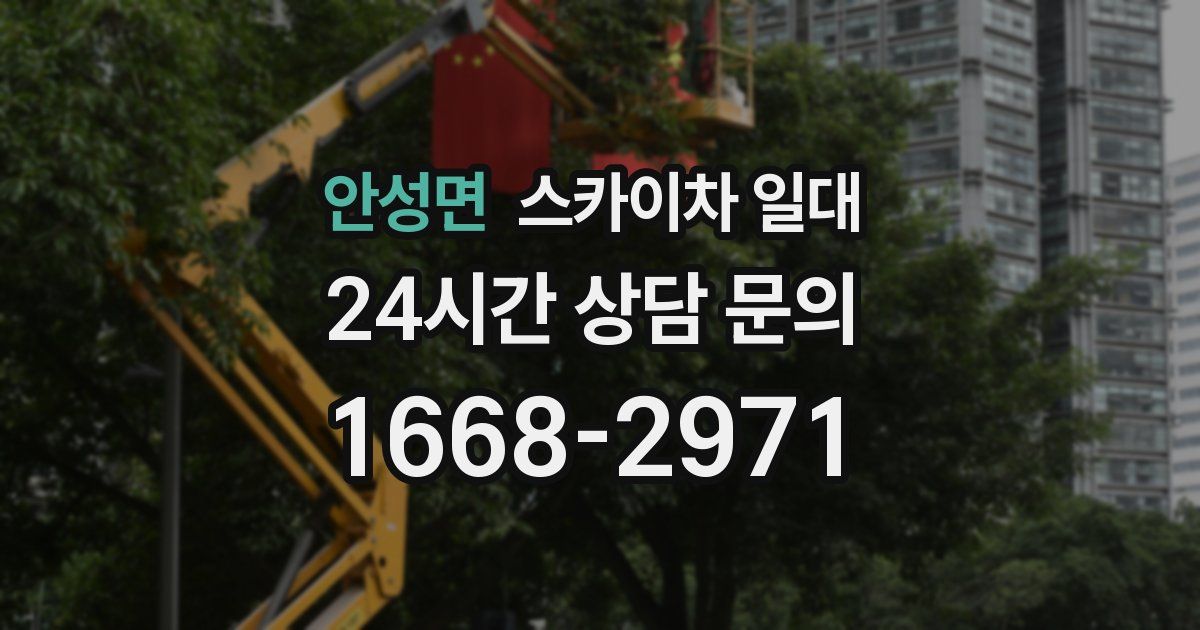 안성면 스카이차 일대