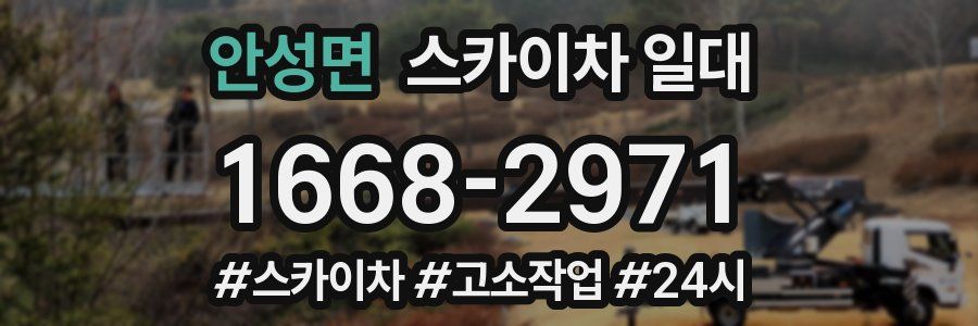 안성면 스카이차 일대