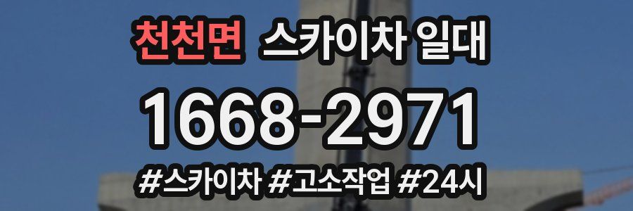 천천면 스카이차 일대