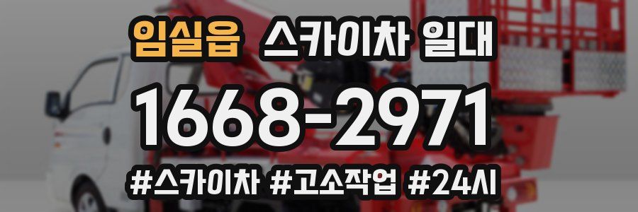 임실읍 스카이차 일대