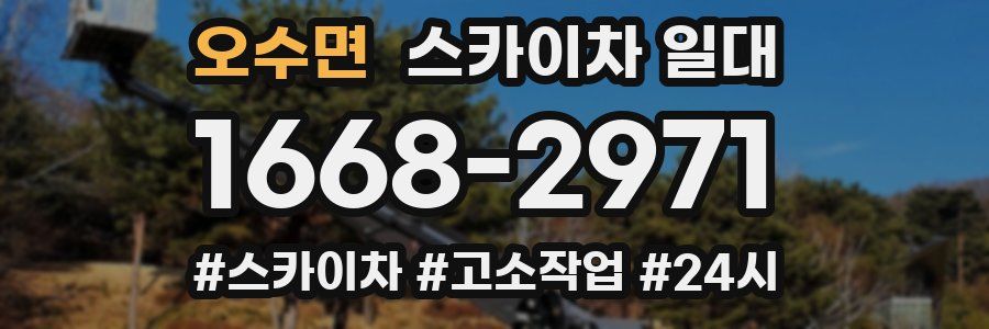 오수면 스카이차 일대