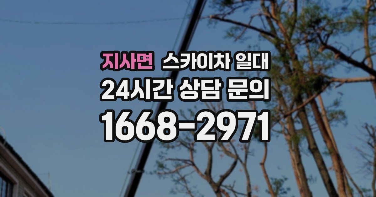 지사면 스카이차 일대