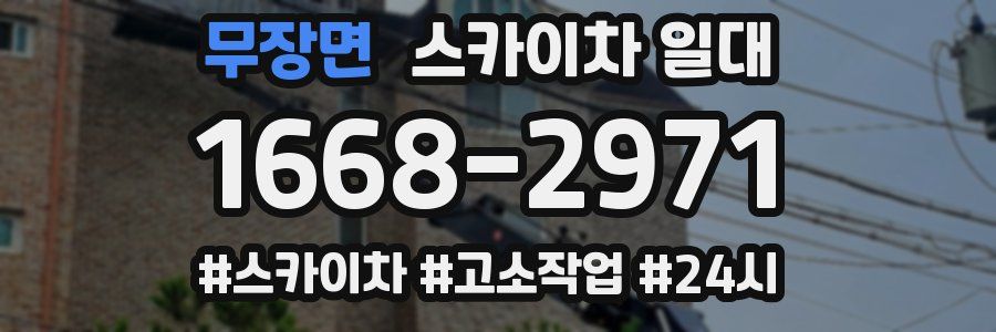 무장면 스카이차 일대