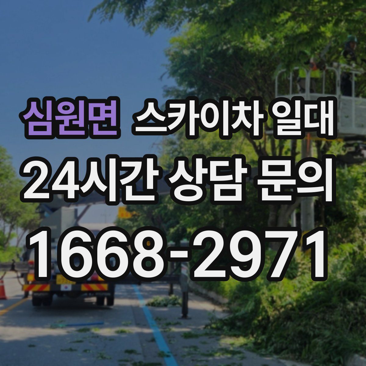 심원면 스카이차 일대