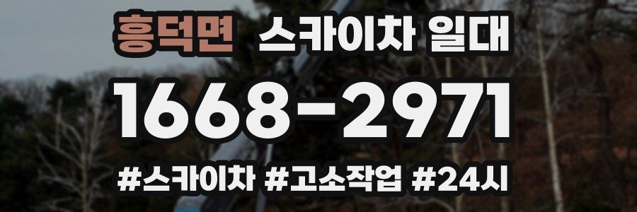 흥덕면 스카이차 일대