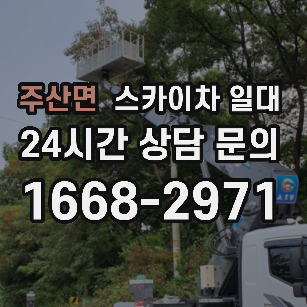 주산면 스카이차 일대