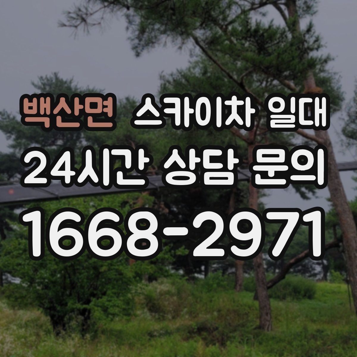 백산면 스카이차 일대 안전 교육이 필요한 이유