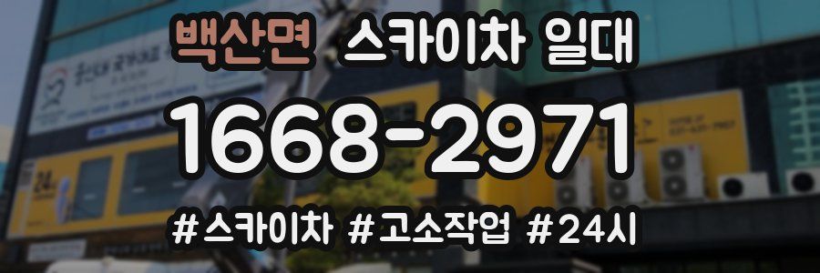 백산면 스카이차 일대