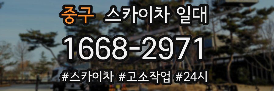 중구 스카이차 일대
