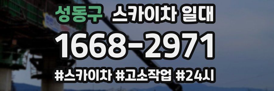 성동구 스카이차 일대