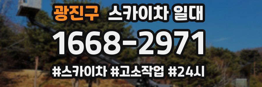 광진구 스카이차 일대