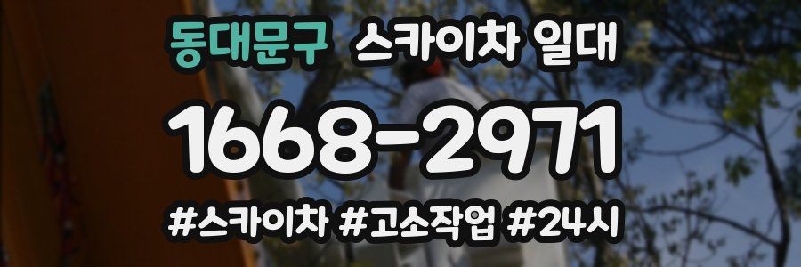 동대문구 스카이차 일대