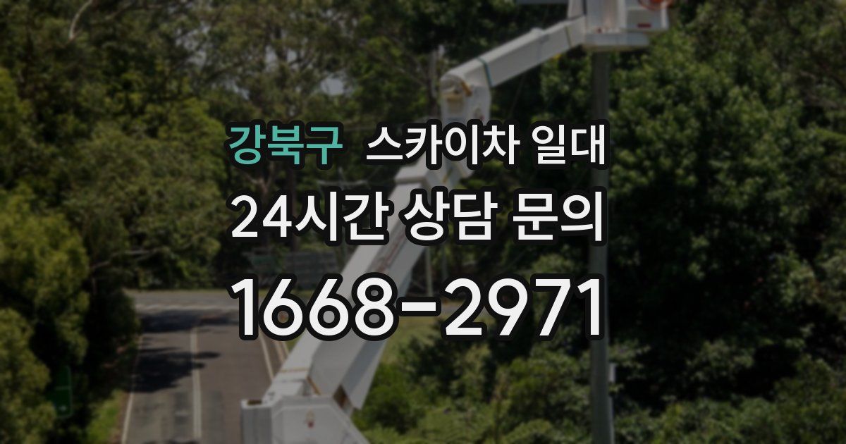 강북구 스카이차 일대