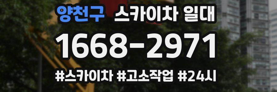 양천구 스카이차 일대