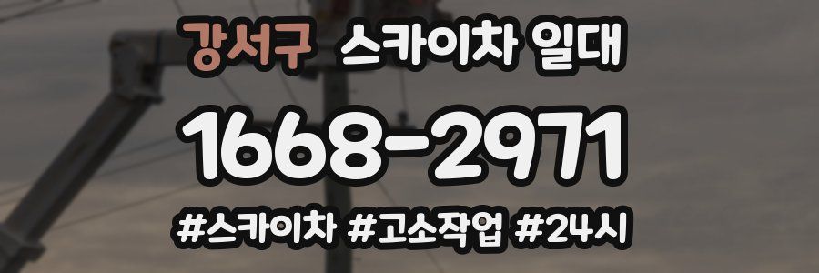 강서구 스카이차 일대