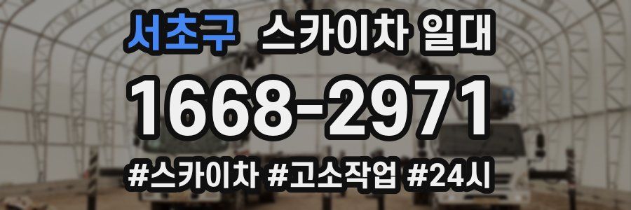 서초구 스카이차 일대